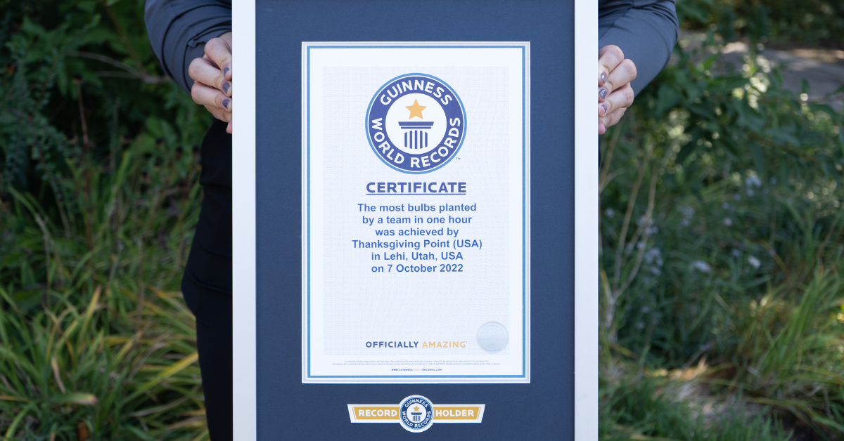 Exploring the Tulip Fields with Ford Transit 15 Passenger Van at Thanksgiving Point