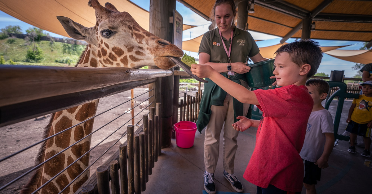 Field Trips Made Easy with Passenger Vans and SUVs
